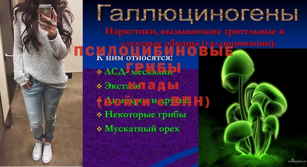 дмт Новодвинск