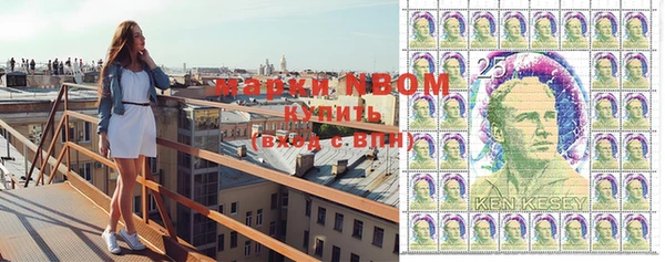 индика Нея