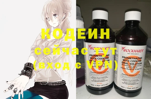 индика Нея