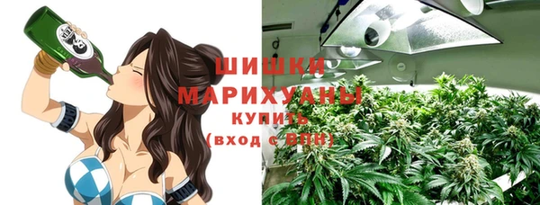 ГАЛЛЮЦИНОГЕННЫЕ ГРИБЫ Новозыбков
