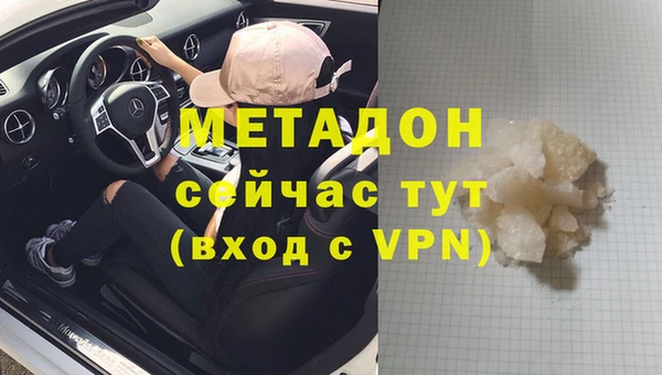 индика Нея
