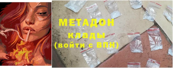 ГАЛЛЮЦИНОГЕННЫЕ ГРИБЫ Новозыбков