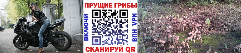 Псилоцибиновые грибы Magic Shrooms  цены наркотик  Олонец 