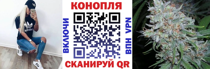 Канабис план  даркнет сайт  Олонец 